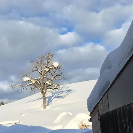 Holiday home Mayrberg Comfortable